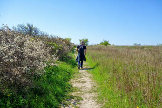 024-Stevns Klint.jpg