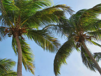 060 plage de la perle.jpg