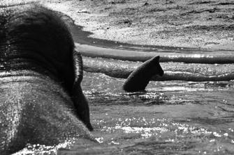 ZOO-3.jpg