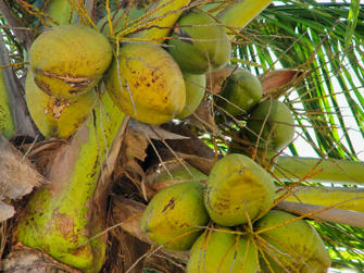 092 plage de la perle.jpg