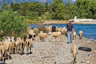 076-Greece.jpg