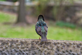 046-New York City.jpg