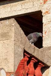 062-Greece.jpg