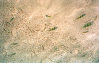 019-Thailand.jpg