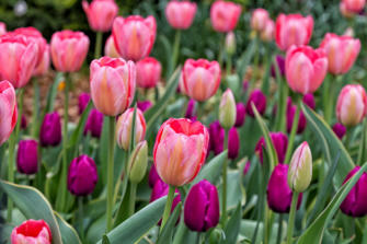 108-New York City.jpg