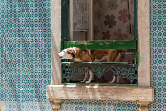 153-Lisbon.jpg