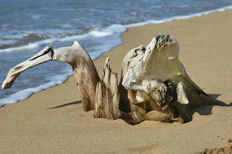 050 plage de la perle.jpg