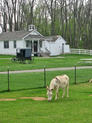 227 Amish Country.jpg